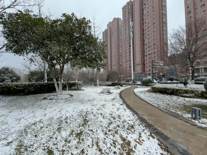 郑州2023年冬天第一场雪几点下的